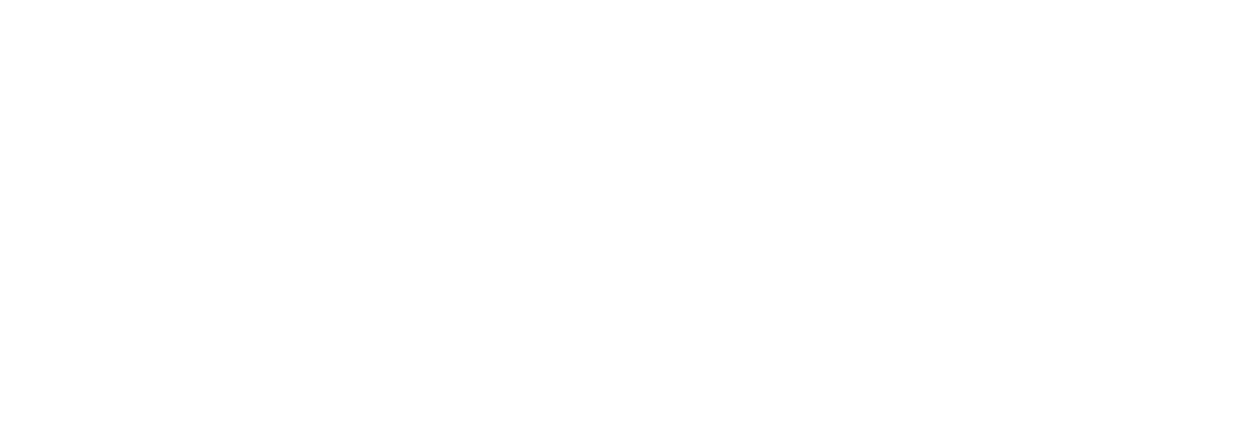 Race Drones New Logo WIDE - White Large